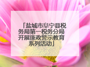 盐城市阜宁县税务局第一税务分局开展廉政警示教育系列活动